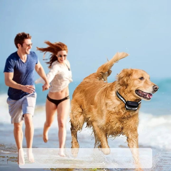 Trainingshalsband voor Honden met Afstandsbediening 1000m Bereik Oplaadbaar Waterdicht IP67 Verstelbaar 20-65cm Trillingen Geluid Stimulatie 9 Intensiteitsniveaus Geschikt 5-50kg | Sansoti