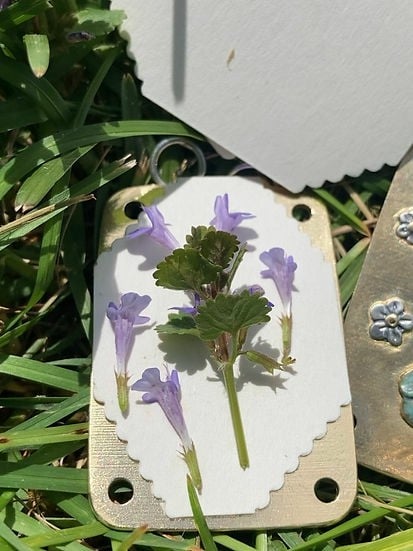 Mini Bloemenpers Compacte Botanische Droogpers Draagbare Herbarium Pers Natuurlijke Bladeren Bewaren | Sansoti