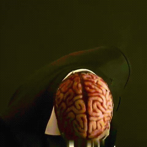 Schädelmaske aus Latex mit Gehirndetail, Halloween-Horror-Kostümaccessoire für Feiertage und Karneval | Sansoti