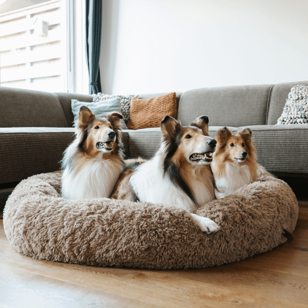 Rundes Hundebett Weiches Plüsch Donut Anti-Stress-Liegeplatz Haustier Ruhe Schlafplatz Angstreduktion Komfort | Sansoti