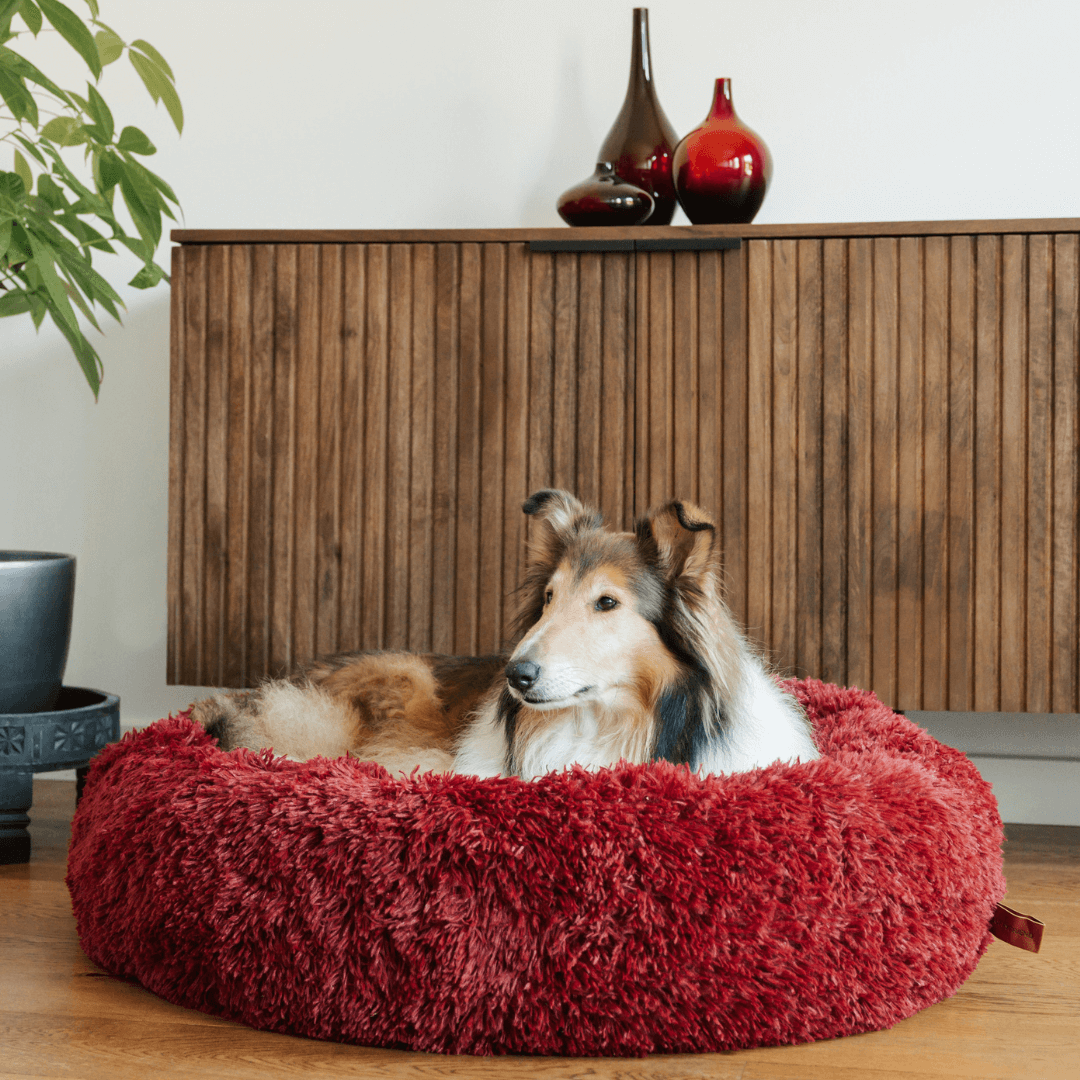 Rundes Hundebett Weiches Plüsch Donut Anti-Stress-Liegeplatz Haustier Ruhe Schlafplatz Angstreduktion Komfort | Sansoti