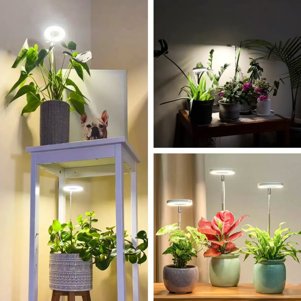 Adjustable Full-Spectrum LED Grow Light with Gooseneck for Indoor Houseplants 20-65cm Plant Light | Sansoti