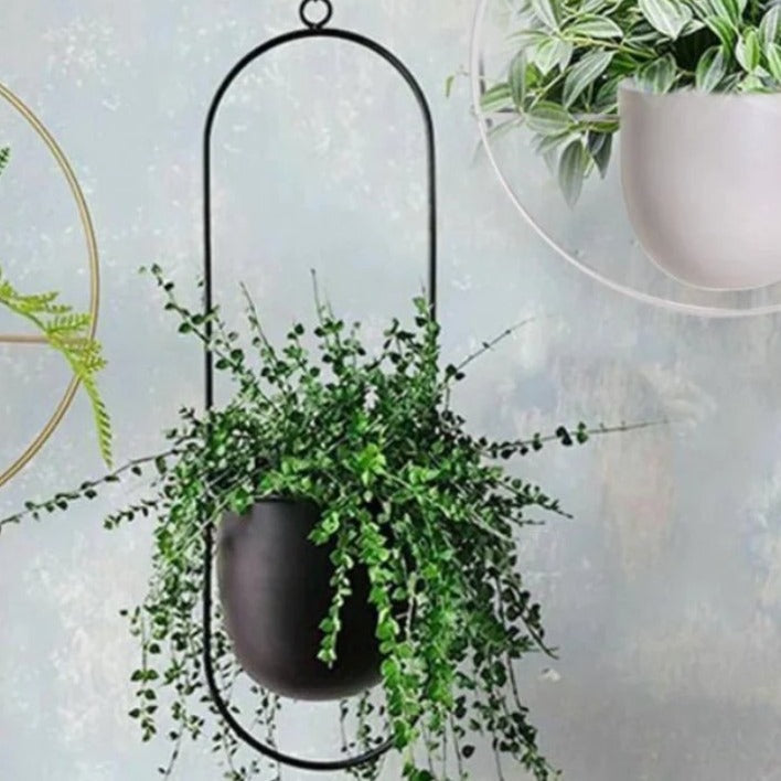 Hangende Plantenpot met Metalen Ring voor Kruiden en Vetplanten Binnen | Sansoti