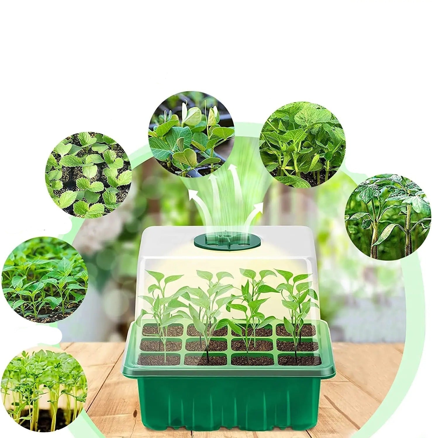 Zaaitray met Groeilamp LED voor Zaailingen en Stekjes Binnen Buiten Kweekbak Groeisysteem Tuinbouw Moestuin | Sansoti