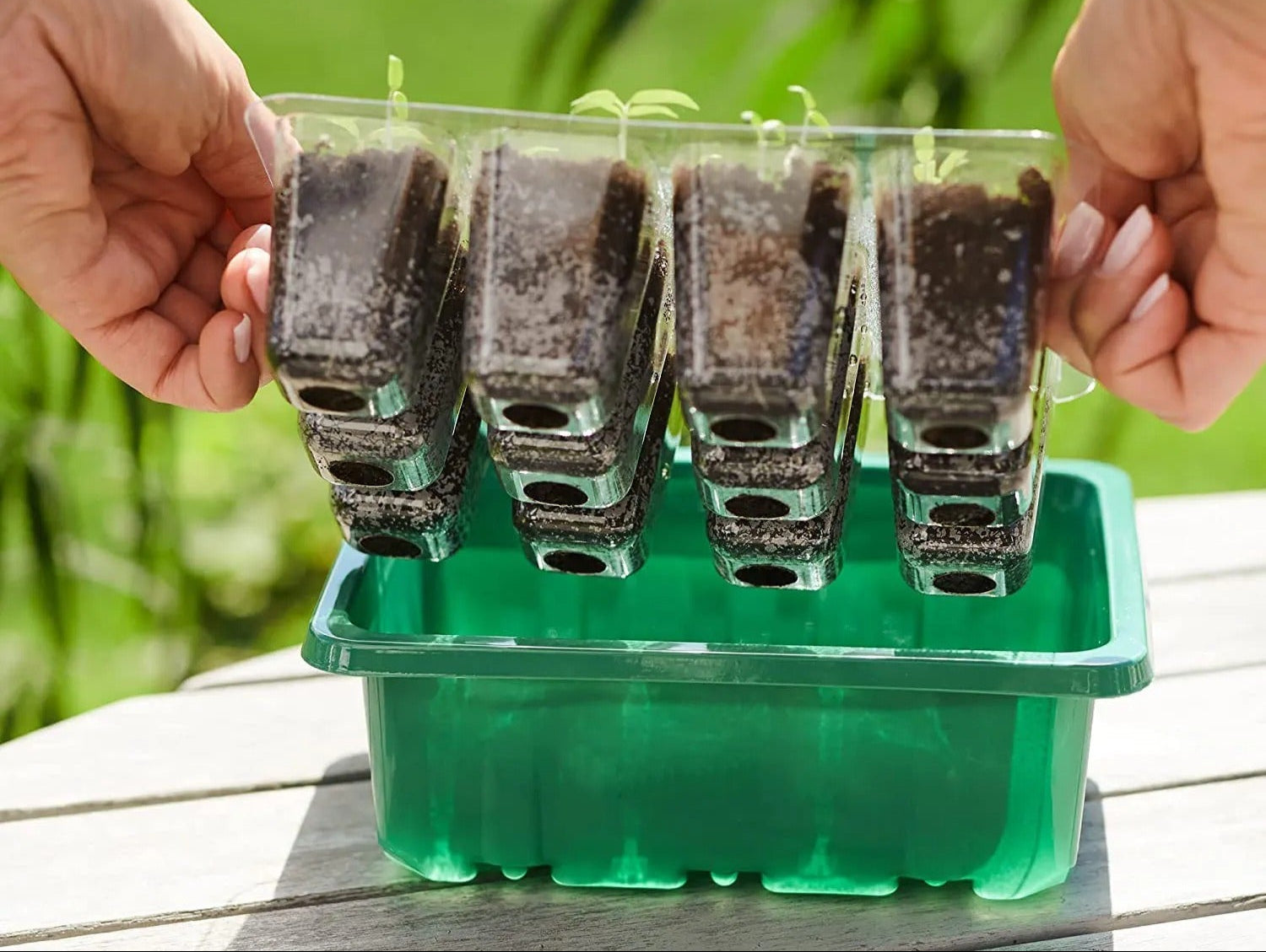 Zaaitray met Groeilamp LED voor Zaailingen en Stekjes Binnen Buiten Kweekbak Groeisysteem Tuinbouw Moestuin | Sansoti