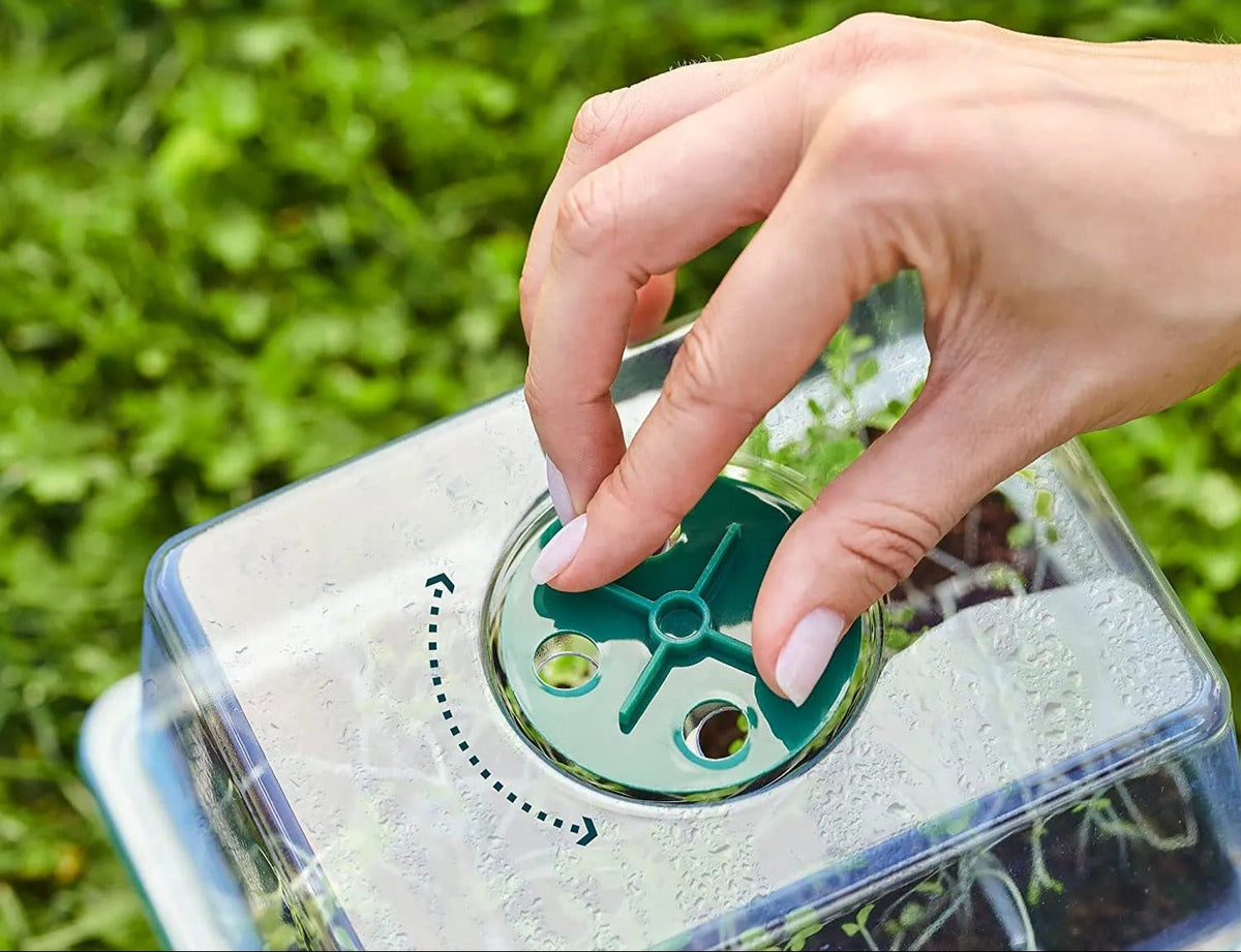Zaaitray met Groeilamp LED voor Zaailingen en Stekjes Binnen Buiten Kweekbak Groeisysteem Tuinbouw Moestuin | Sansoti
