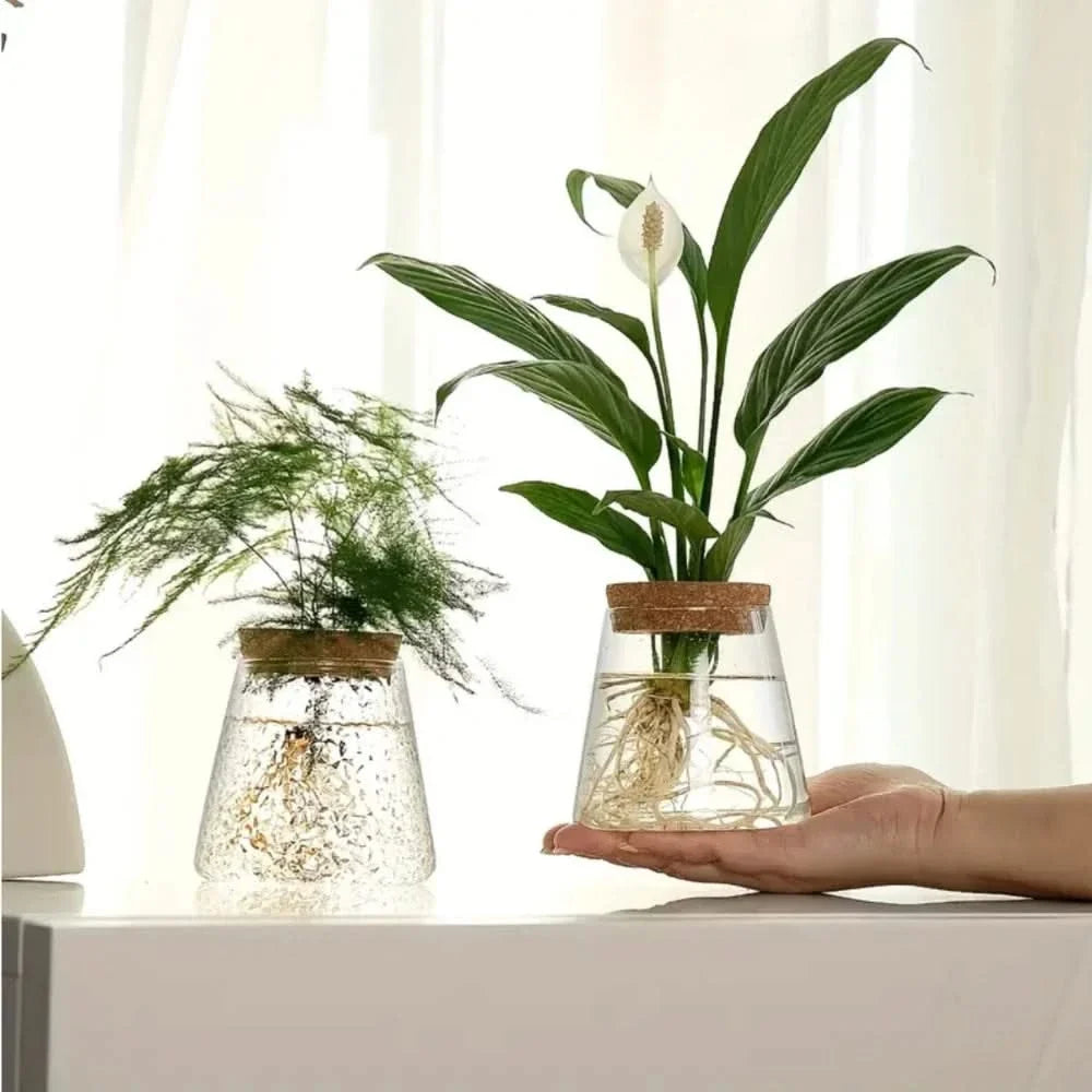 Glasvase mit Korken für Wasserpflanzen, 400 ml, hydroponisches Anzuchtsystem, transparentes dekoratives Pflanzgefäß | Sansoti