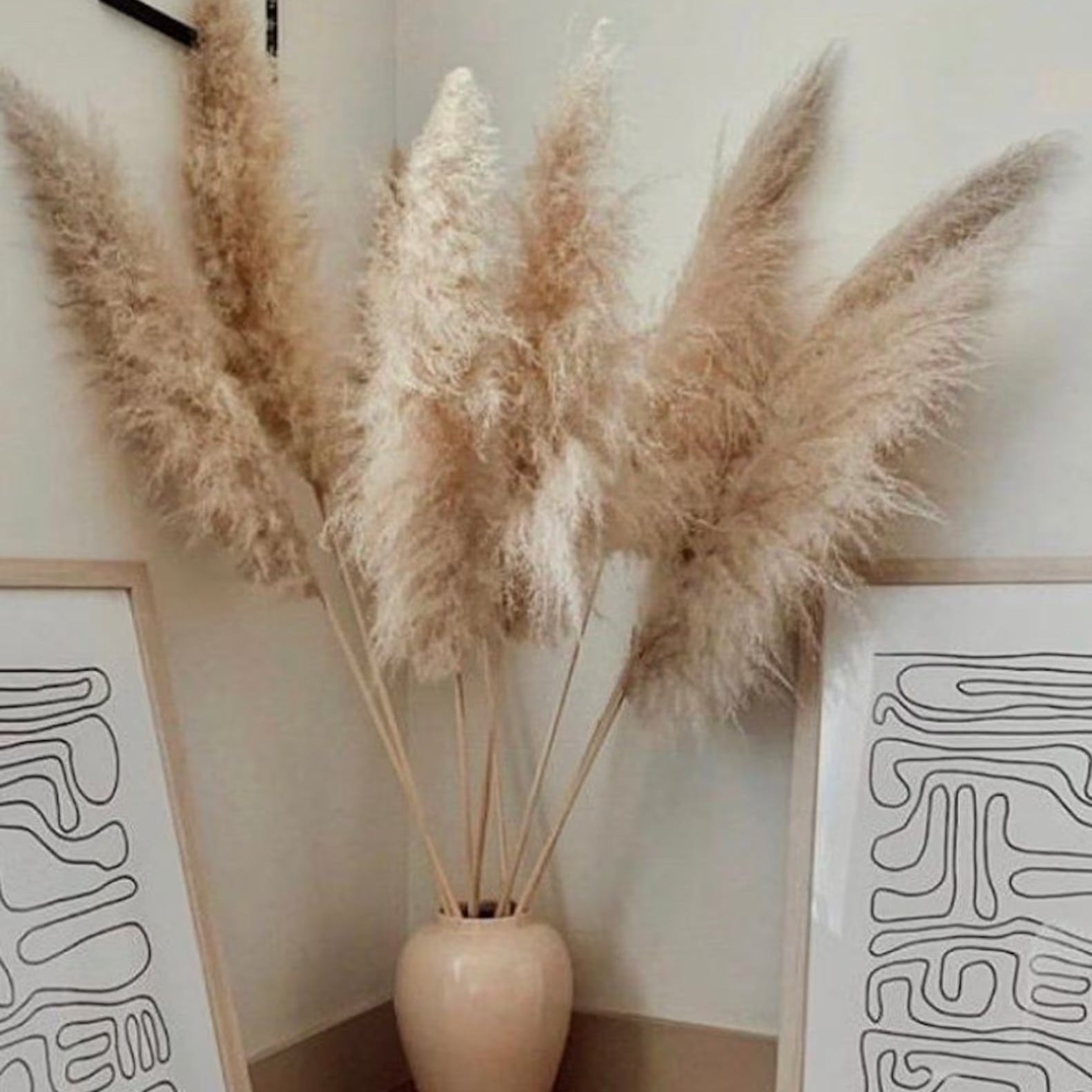 Gedroogde Pampas Pluimen 10 Stuks Natuurlijk Gras Decoratieve Droogbloemen voor Woonkamer Slaapkamer | Sansoti