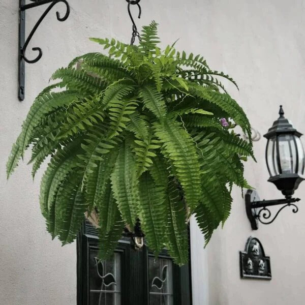 Kunstmatige Varen Hangplant UV-Bestendig PVC Groen Cascaderend voor Pot Mand Balkon Terras Binnen Buiten | Sansoti