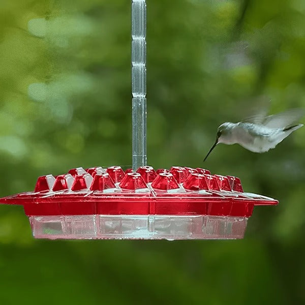 Kolibrifutterspender mit integriertem Ameisengraben, 30 Trinköffnungen, transparenter hängender Futterspender für Garten und Balkon | Sansoti