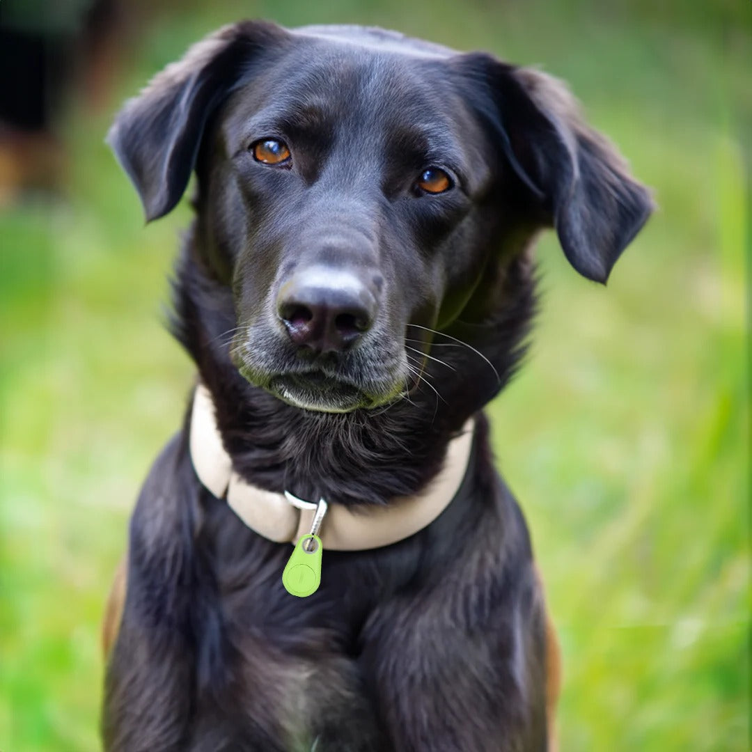 Waterdichte GPS Tracker voor Huisdieren met Bluetooth en App Controle Realtime Locatie Honden Katten Veiligheid | Sansoti