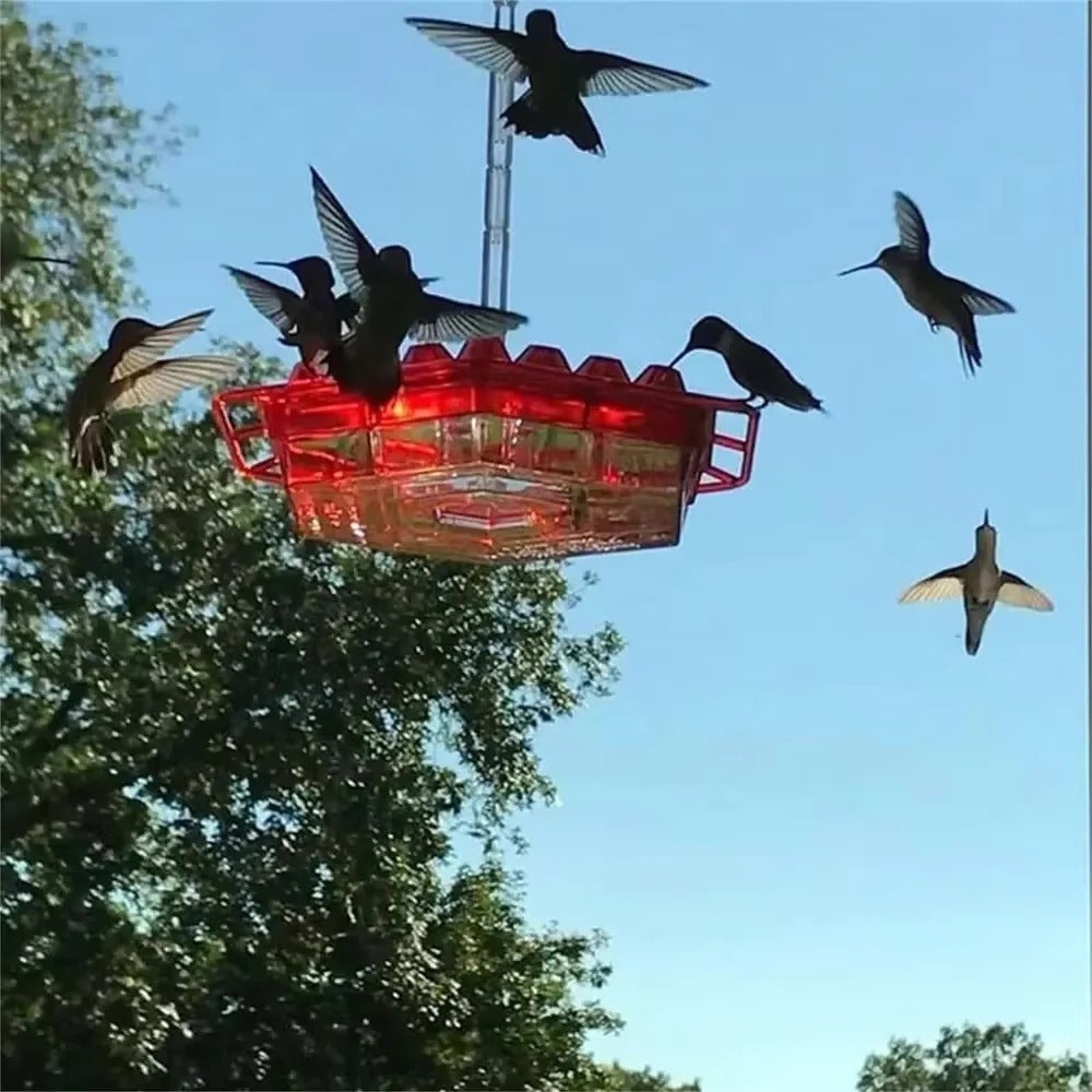 Kolibrifutterspender für draußen mit Ameisenabwehr, 30 Futteröffnungen, hängende Vogelfütterung, Gartendekoration | Sansoti