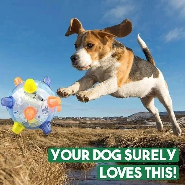 Interaktiver Springball mit LED-Beleuchtung für Hunde – stimulierendes Hundespielzeug mit Bewegungsaktivierung | Sansoti