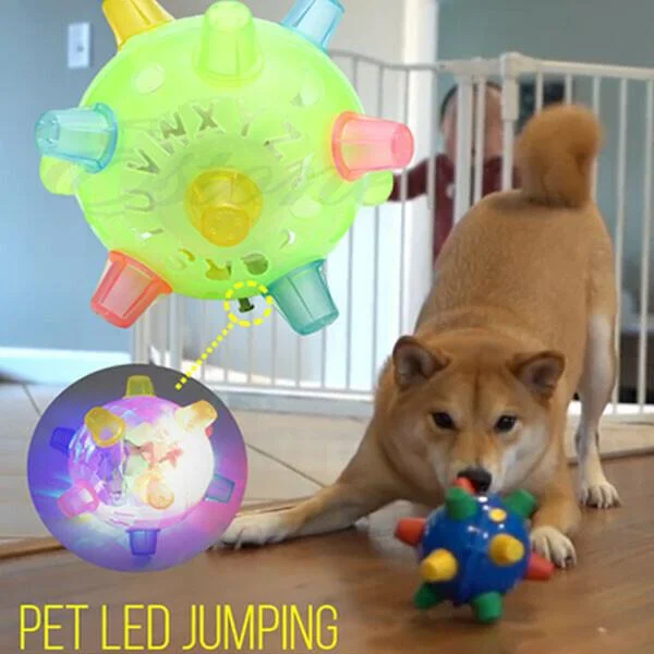 Interaktiver Springball mit LED-Beleuchtung für Hunde – stimulierendes Hundespielzeug mit Bewegungsaktivierung | Sansoti