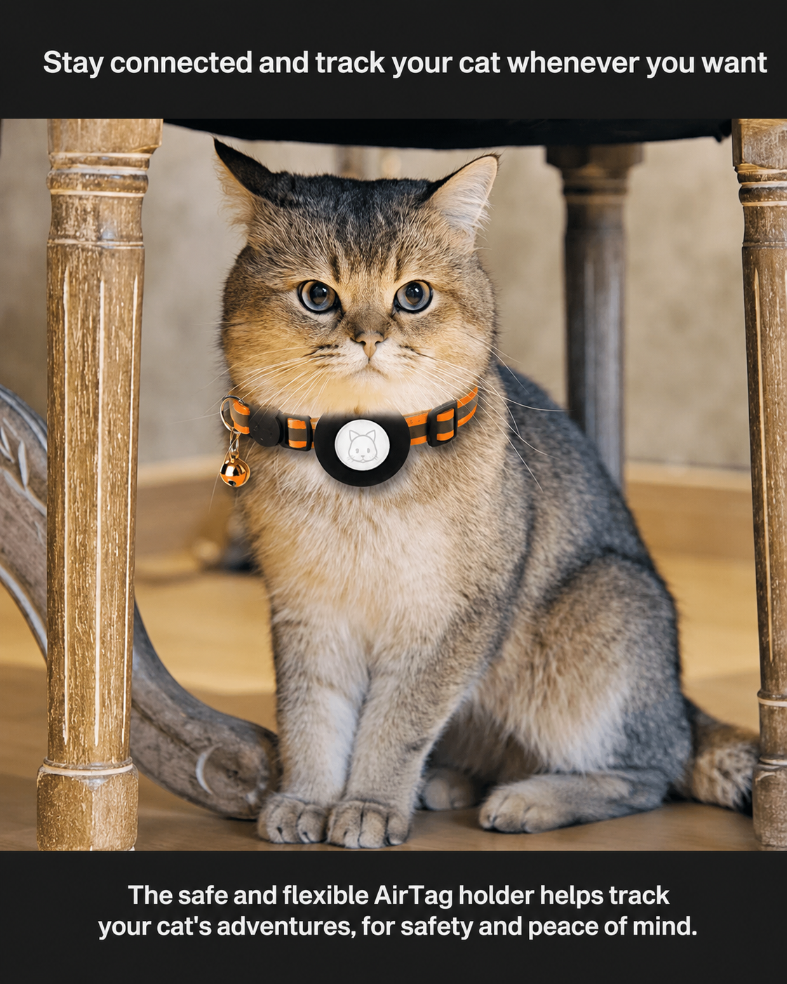 Reflective GPS Tracker Collar for Cats with Safety Buckle | Sansoti