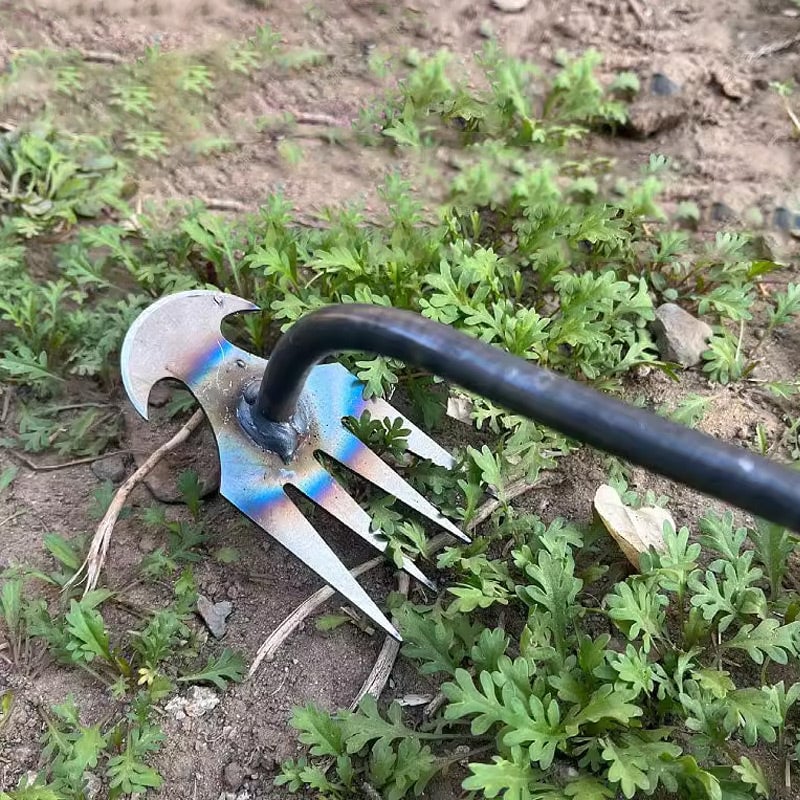 Manueller Unkrautentferner aus Metall mit ergonomischem Griff für präzises Entfernen von Wurzeln, für Gartenfiguren, Wege, Fugen und Terrassen | Sansoti