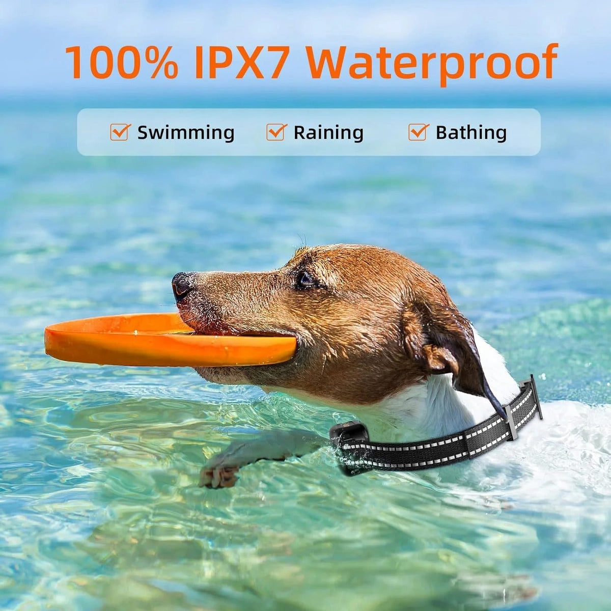 Elektronische Trainingshalsband Hond Waterdicht 1000m Bereik USB Oplaadbaar met Afstandsbediening Hondendressuur | Sansoti
