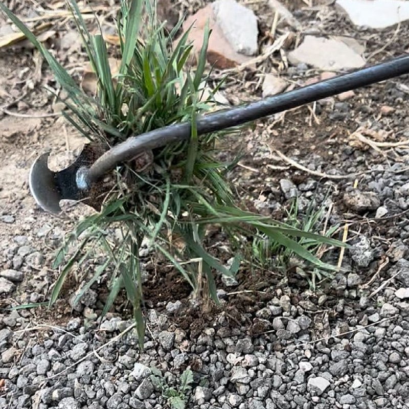 Manueller Unkrautentferner aus Metall mit ergonomischem Griff für präzises Entfernen von Wurzeln, für Gartenfiguren, Wege, Fugen und Terrassen | Sansoti