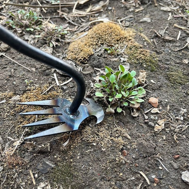 Manueller Unkrautentferner aus Metall mit ergonomischem Griff für präzises Entfernen von Wurzeln, für Gartenfiguren, Wege, Fugen und Terrassen | Sansoti
