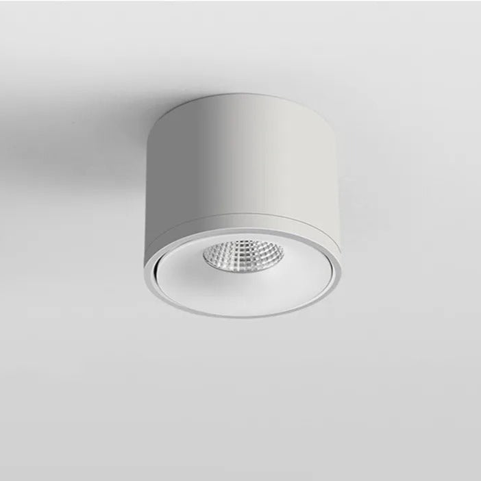 Adjustable ceiling spotlight with 360° rotatable spotlight head, black and white modern surface-mounted lighting for the living room | Sansoti