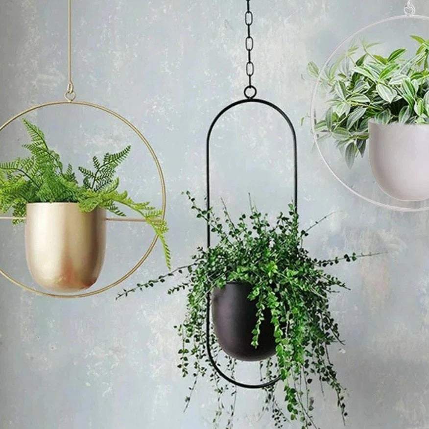 Hangende Plantenpot met Metalen Ring voor Kruiden en Vetplanten Binnen | Sansoti
