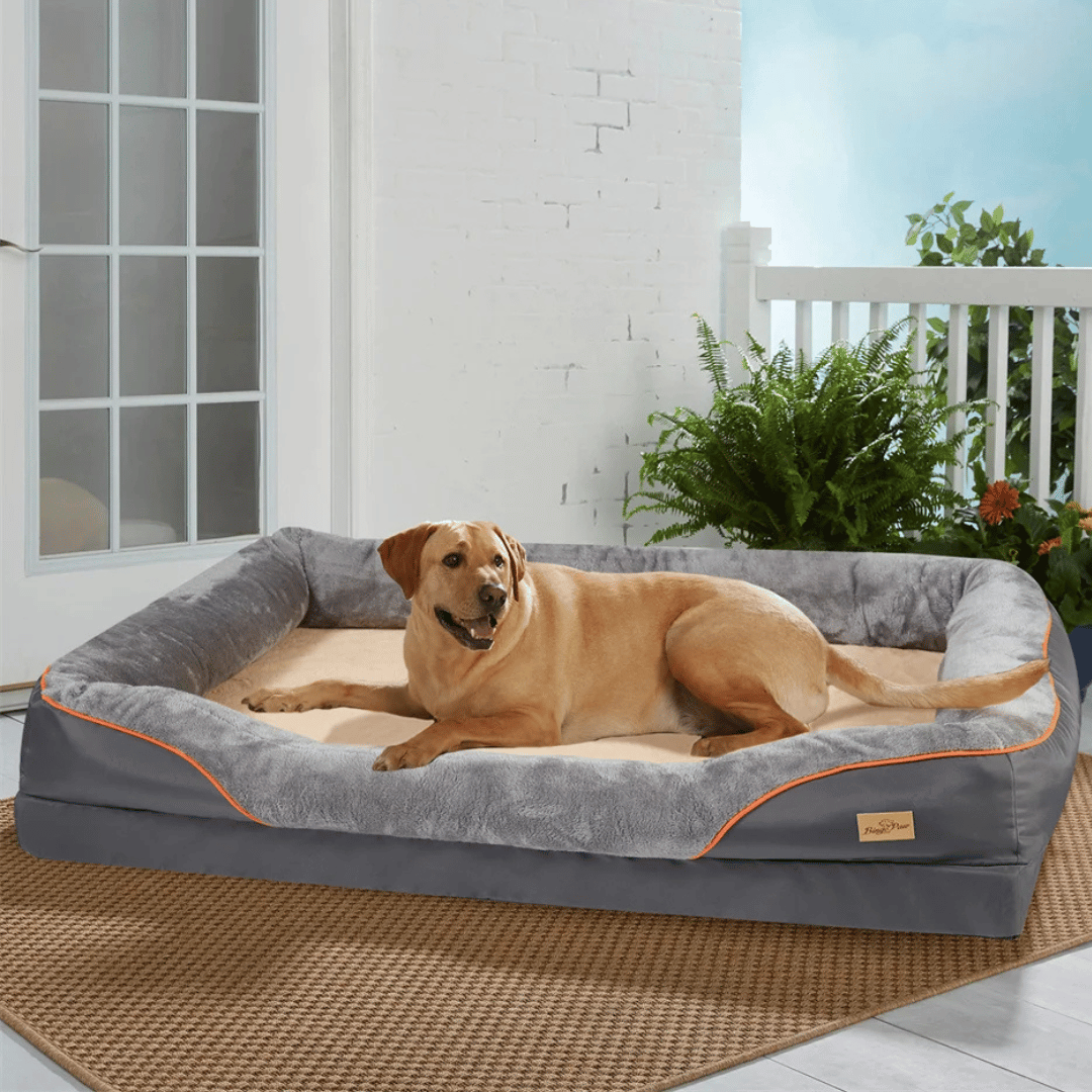 Orthopedic Dog Bed Memory Foam XXL Large Dogs Joint Care Removable Cover Washable Comfort | Sansoti