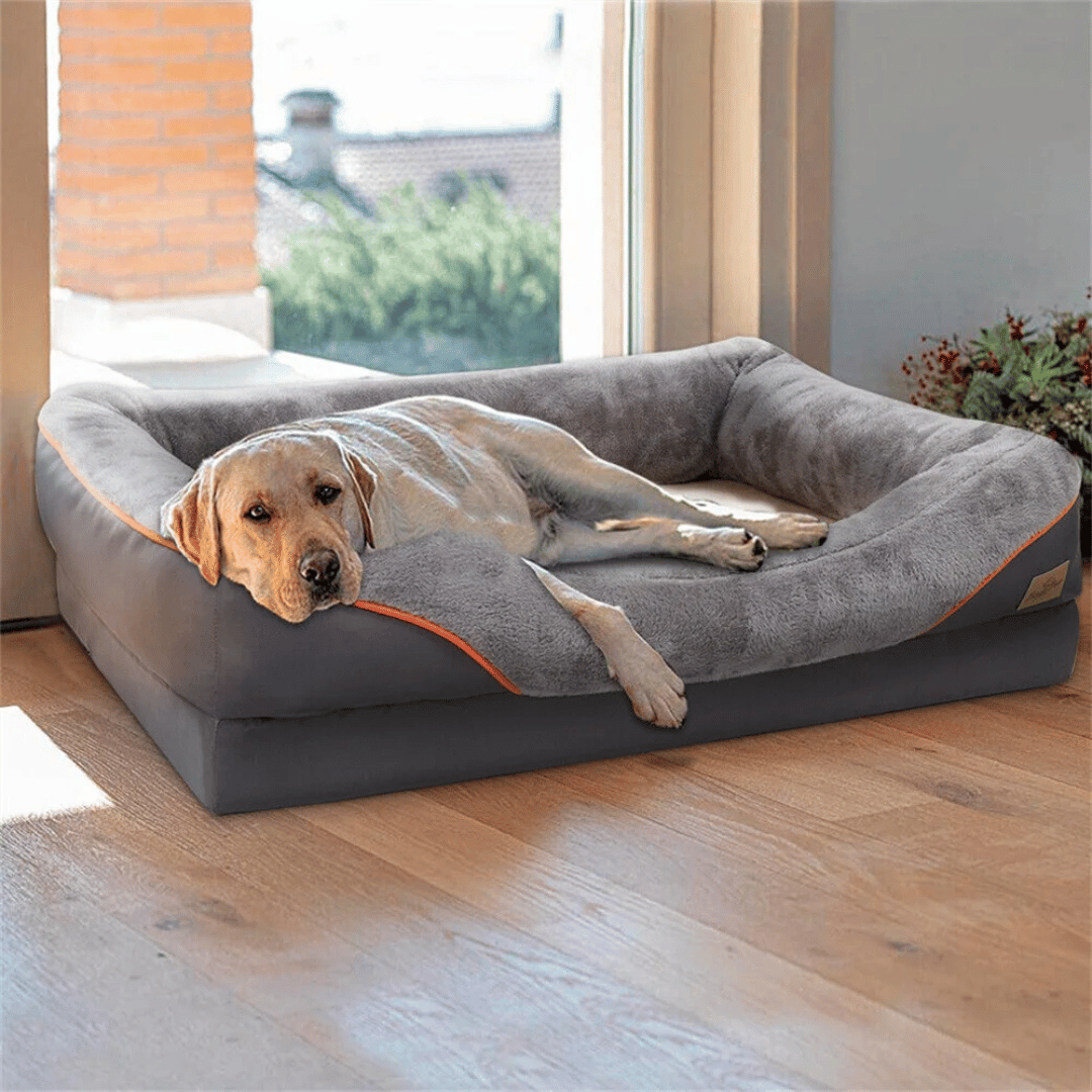 Orthopedic Dog Bed Memory Foam XXL Large Dogs Joint Care Removable Cover Washable Comfort | Sansoti