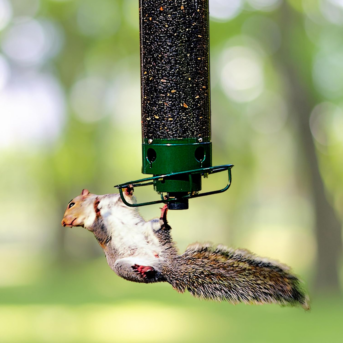 Bird Feeder Station with Rotating Perch and Four Feeding Ports for Wild Birds, Garden Birds, and Outdoor Birds | Sansoti
