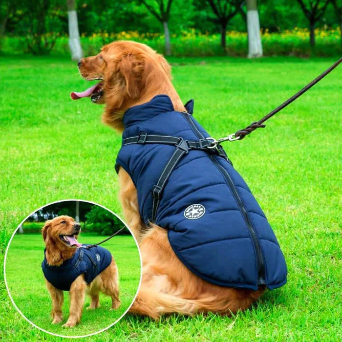 Manteau matelassé pour chien, hiver, imperméable, doublure polaire, harnais intégré, éléments réfléchissants, protection chaude pour chien | Sansoti