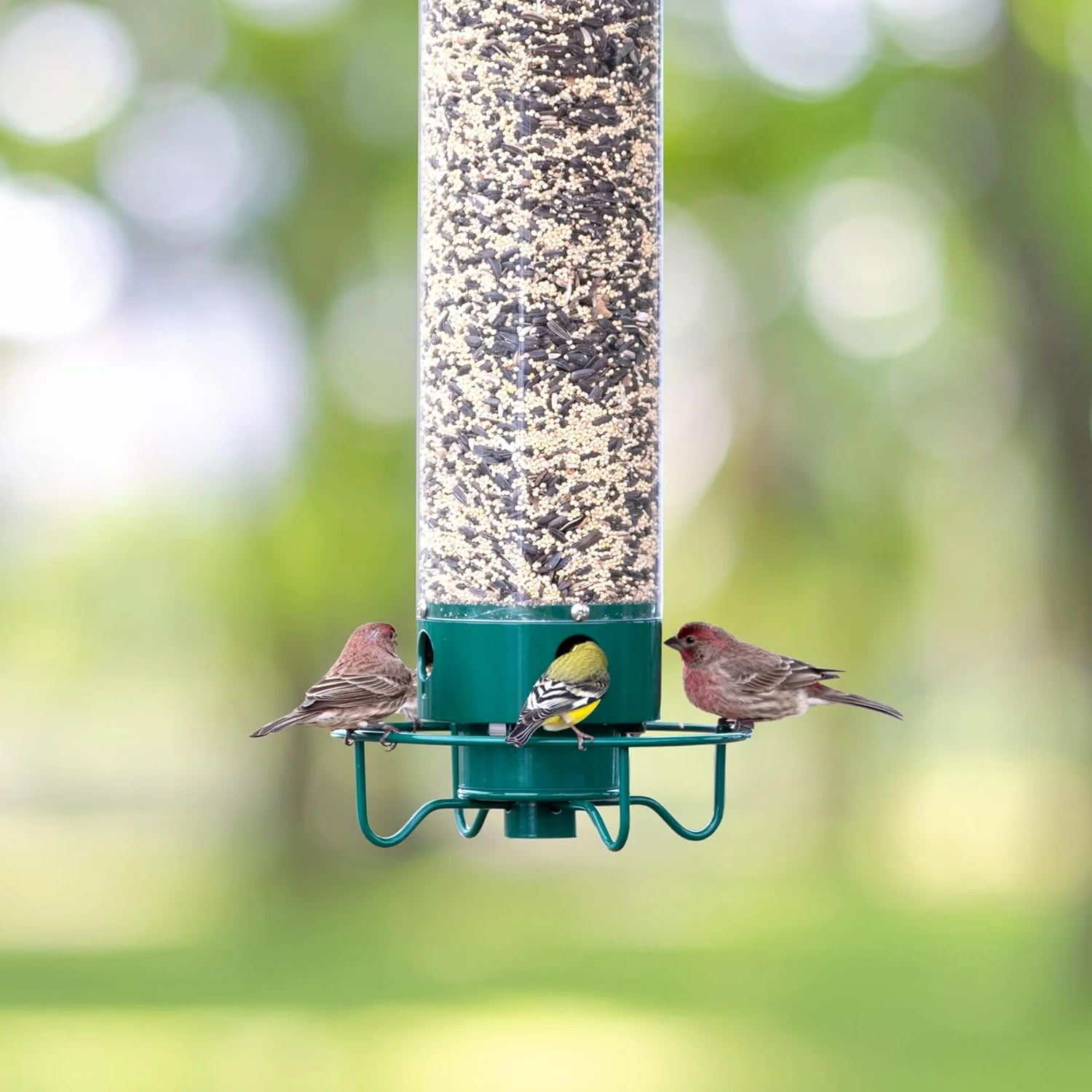 Bird Feeder Station with Rotating Perch and Four Feeding Ports for Wild Birds, Garden Birds, and Outdoor Birds | Sansoti