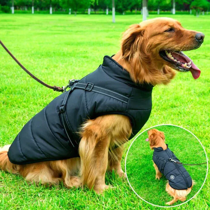 Manteau matelassé pour chien, hiver, imperméable, doublure polaire, harnais intégré, éléments réfléchissants, protection chaude pour chien | Sansoti