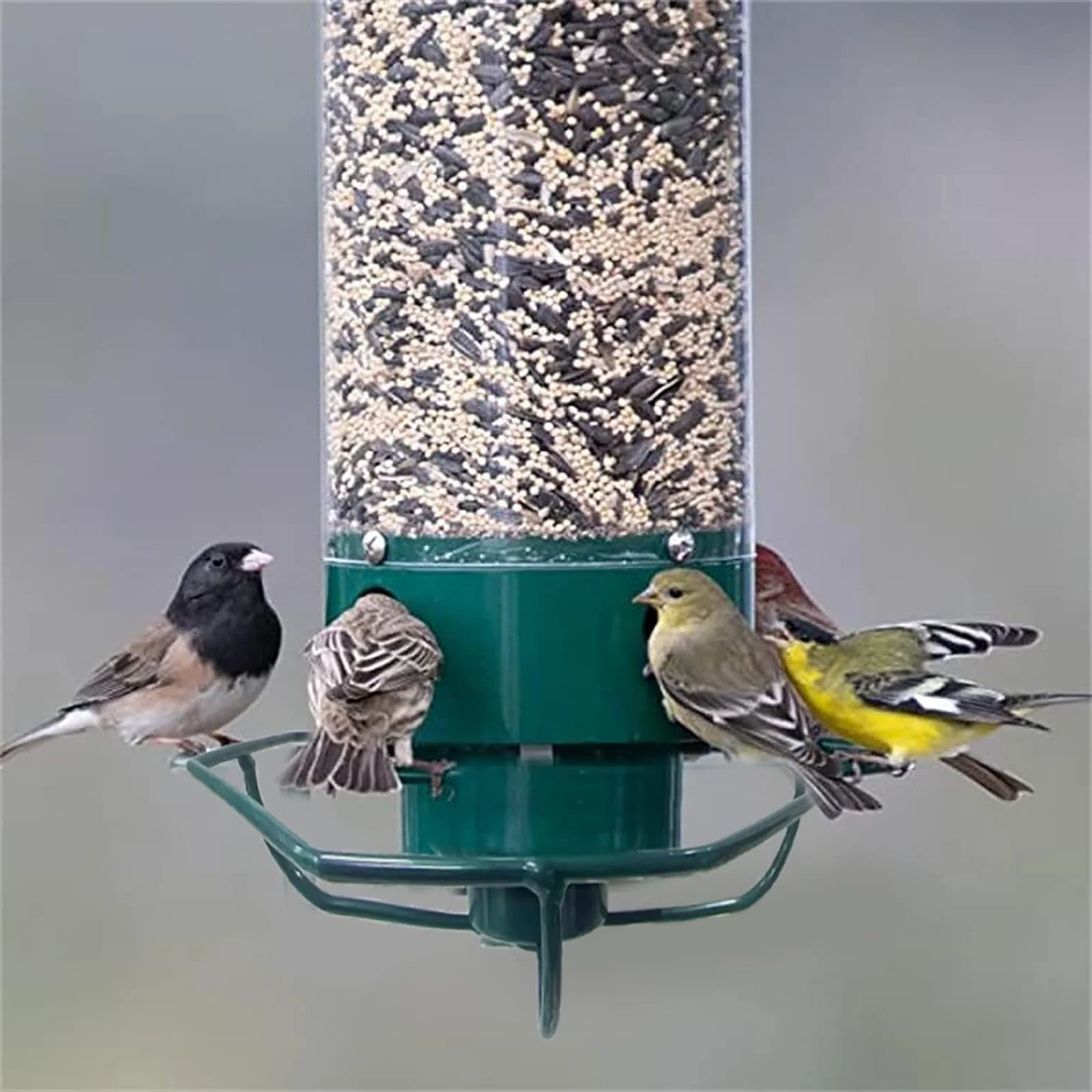 Bird Feeder Station with Rotating Perch and Four Feeding Ports for Wild Birds, Garden Birds, and Outdoor Birds | Sansoti
