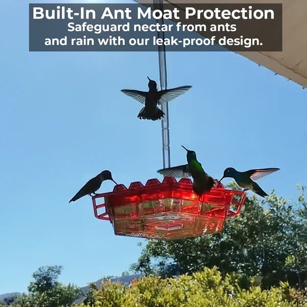 Kolibri-Futterstation mit 30 Futteröffnungen, Ameisensperre, Aufhängehaken, Gartendekoration, Vogelfütterung für den Garten | Sansoti