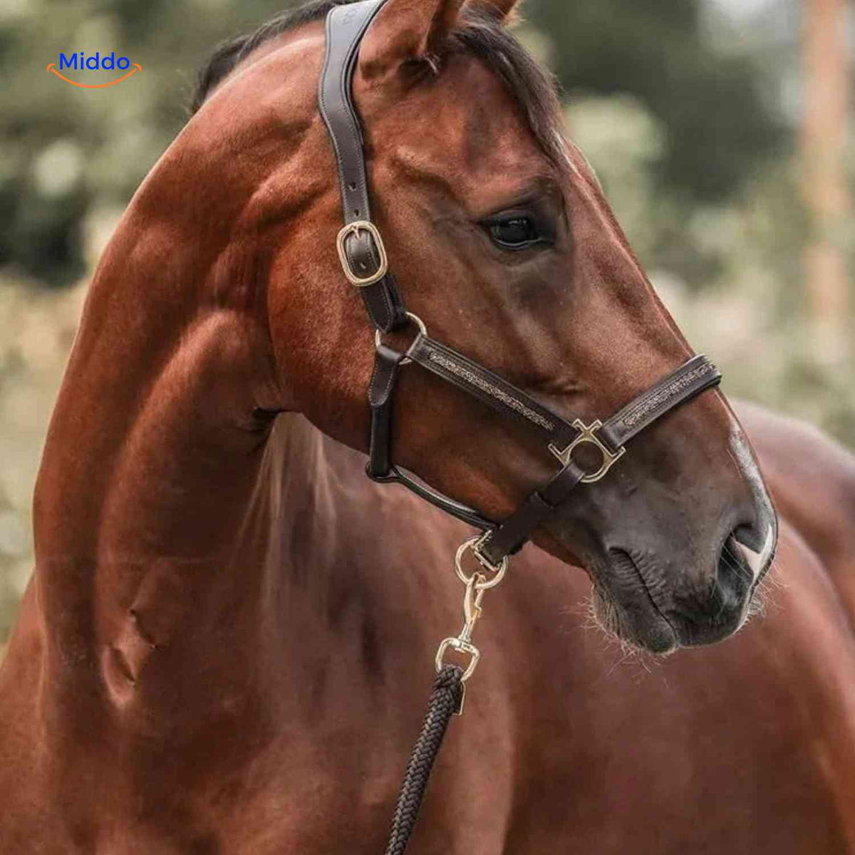 Calendrier de l’Avent 24 cases sur le thème des chevaux avec accessoires, compte à rebours de Noël, idée cadeau, surprise de décembre pour enfants | Sansoti