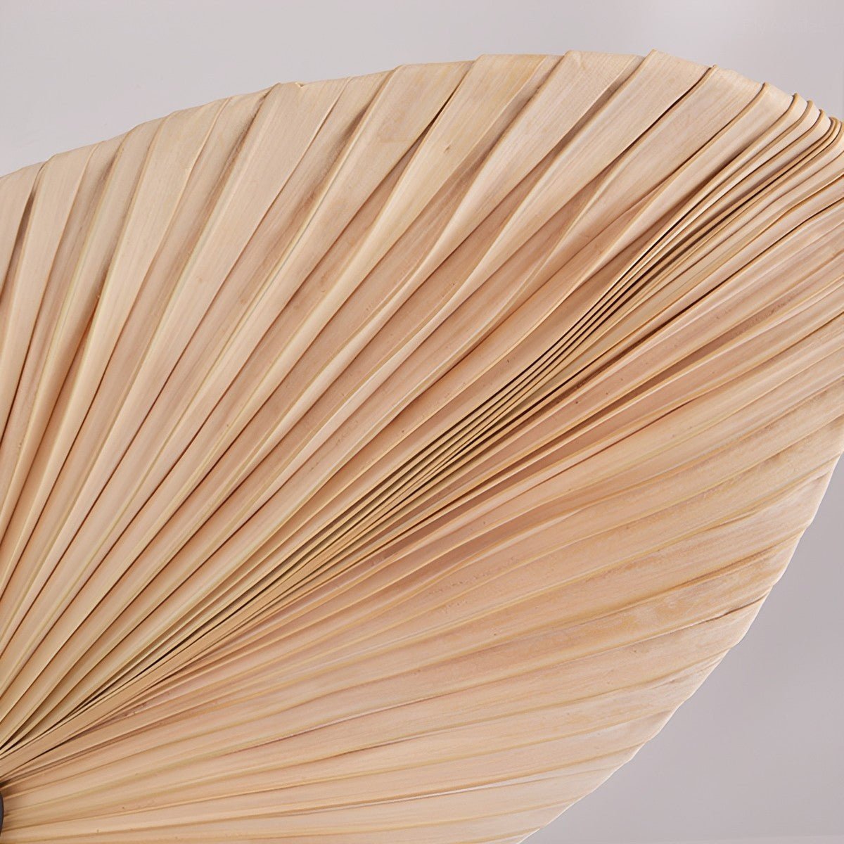 Ceiling Fan Palm Leaf Design Quiet DC Motor Remote Control Natural Airflow Tropical | Sansoti