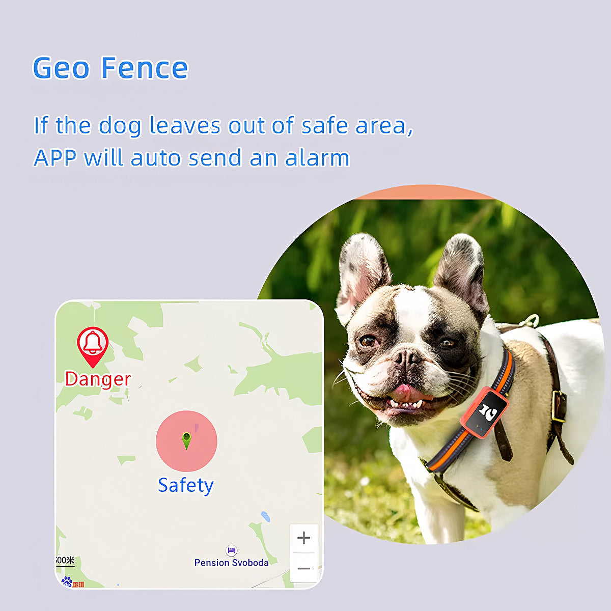 GPS-Tracker für Katzen und Hunde - Ortungsgerät mit Gesundheitsüberwachung und Aktivitätsmessung - inklusive Halsband | Sansoti