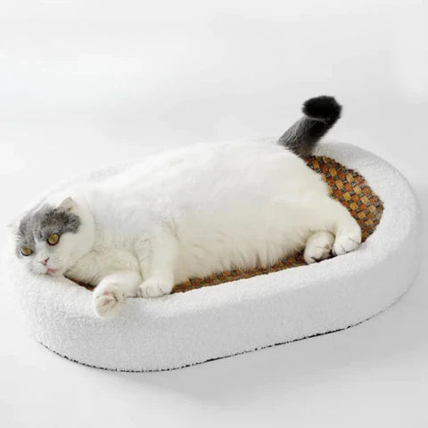 Krabbed voor Katten – Comfortabel Rustbed met Kraboppervlak | Sansoti