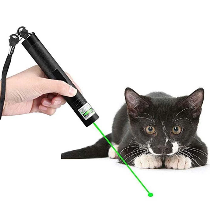 Portable Laser Device for Presentations, Astronomy, Observation, Green and Red Beam Pointer, Professional | Sansoti