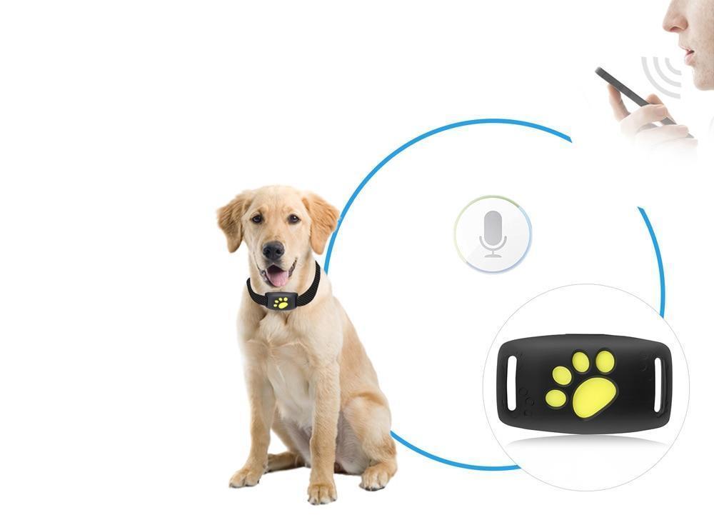 GPS Tracker Kat Echtzeit-Standort Smartphone Kompakt 2x2cm Kein Abonnement | Restfield