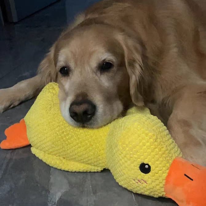 Hondenspeelgoed Eend Kwakgeluid Bijtspeelgoed Touwtrekken Stressverlichting Hond | Sansoti