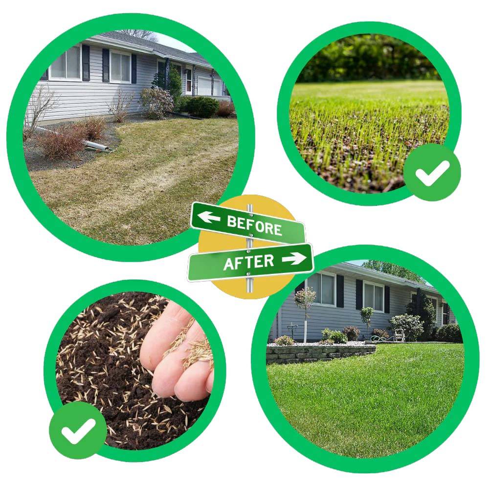 Grassodenmatte mit eingesäten Grassamen, biologisch abbaubar, für die Rasenreparatur und Erosionskontrolle im Garten | Sansoti