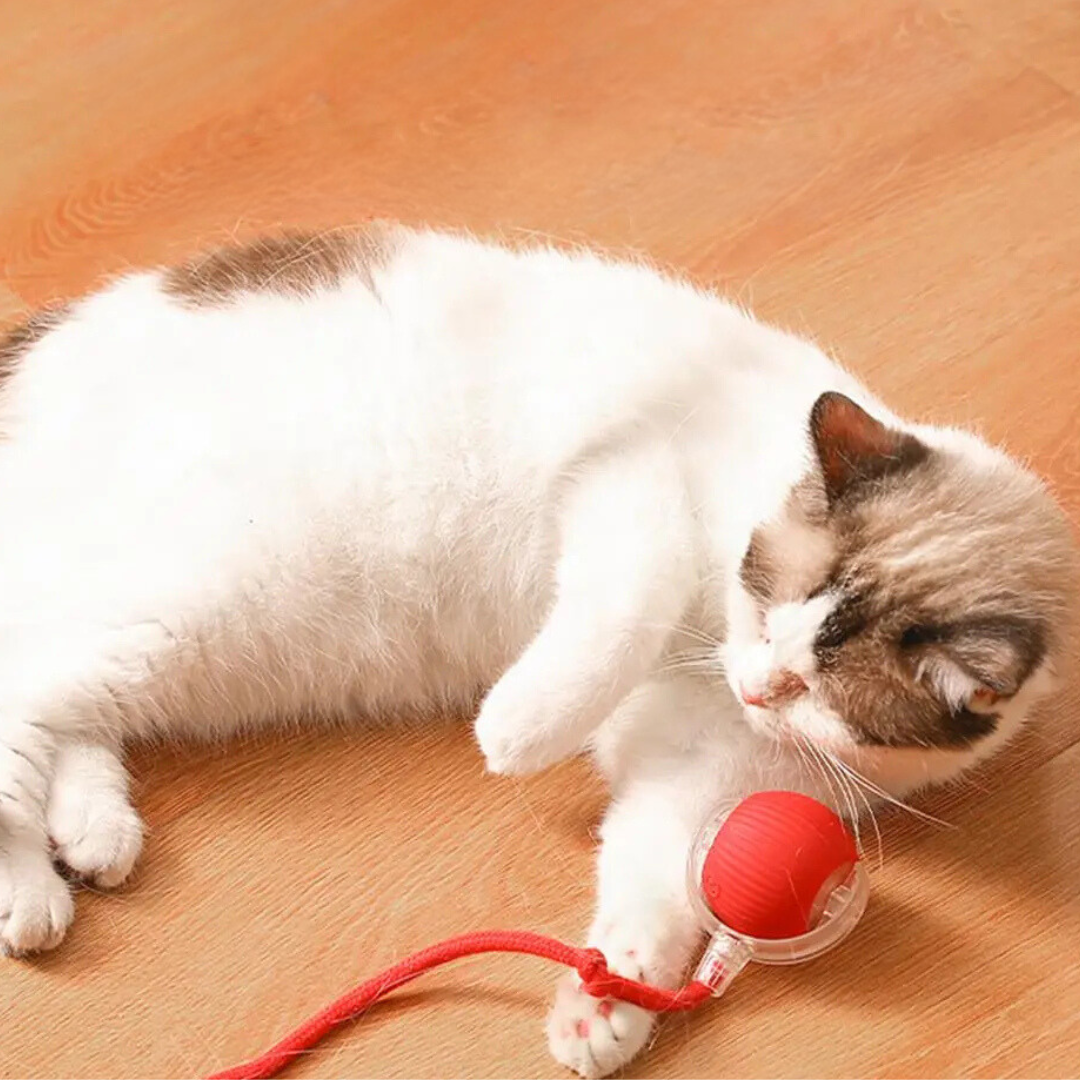 Interactief Kattenrolspeelgoed Oplaadbaar USB met Bewegende Staart Prooi-Imitatie voor Actief Spel Katten | Sansoti