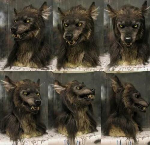 Weerwolf Masker Volledige Hoofdbedekking Latex voor Feesten Cosplay Horror Thema-evenementen Halloween | Sansoti