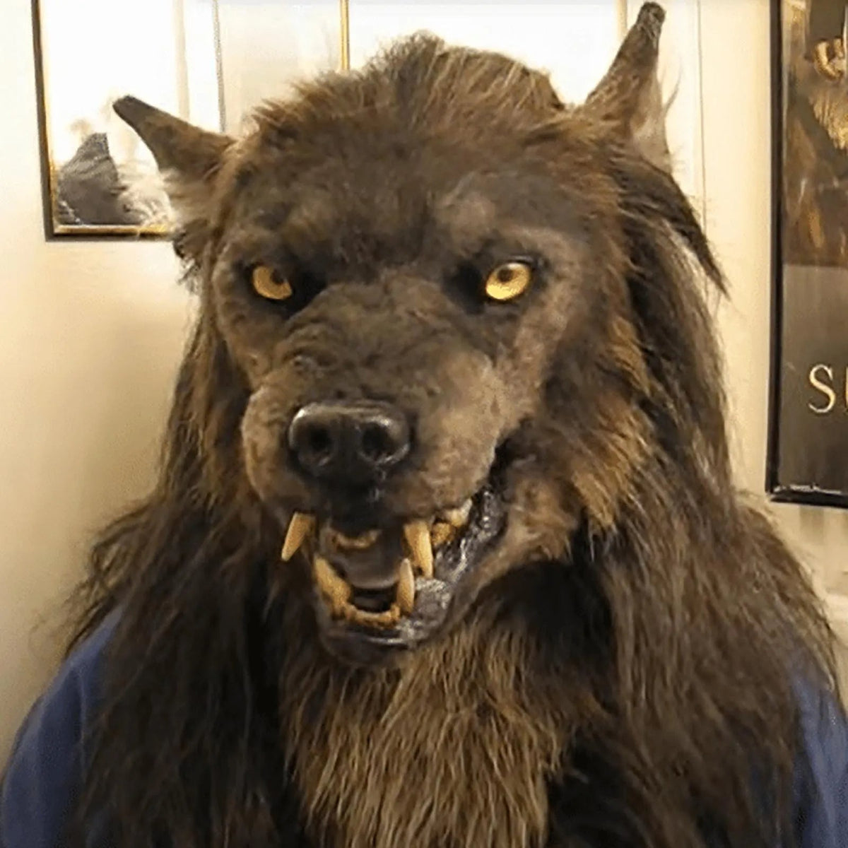 Maska wilkołaka Pełne zakrycie głowy Lateksowa maska na imprezę Halloween Cosplay Horror Akcesorium karnawałowe | Sansoti