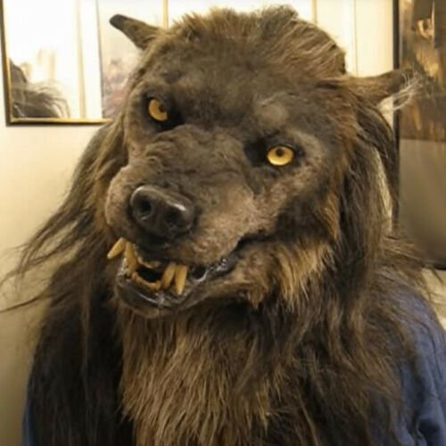 Weerwolf Masker Volledige Hoofdbedekking Latex voor Feesten Cosplay Horror Thema-evenementen Halloween | Sansoti