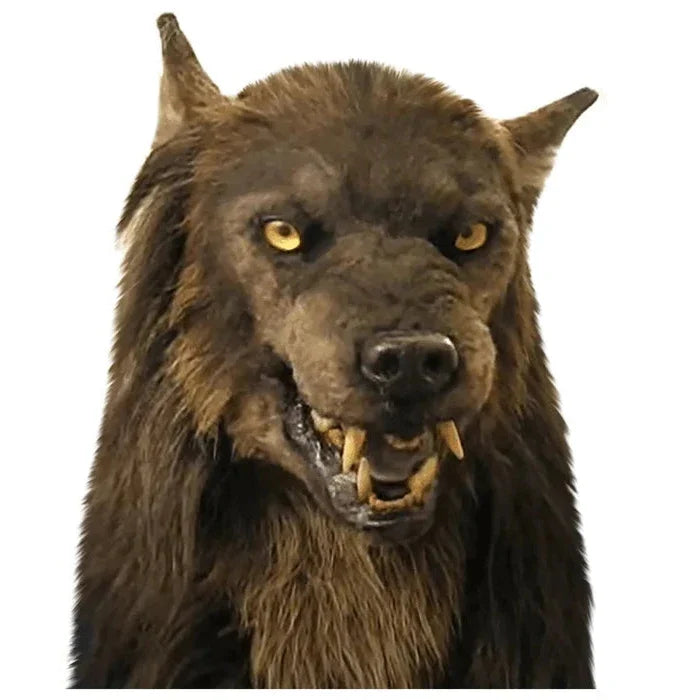 Masque de loup-garou pour Halloween, cosplay, fête et carnaval, masque animalier réaliste en silicone, déguisement | Sansoti