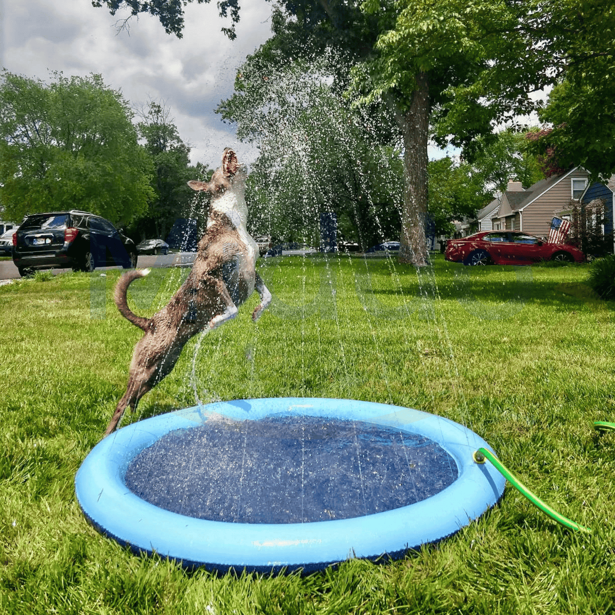 Wassersprinklermatte für Garten und Haustiere, 100-190cm, Spielmatte für Kinder, sommerliche Abkühlung, Outdoor-Wasserspaß | Sansoti