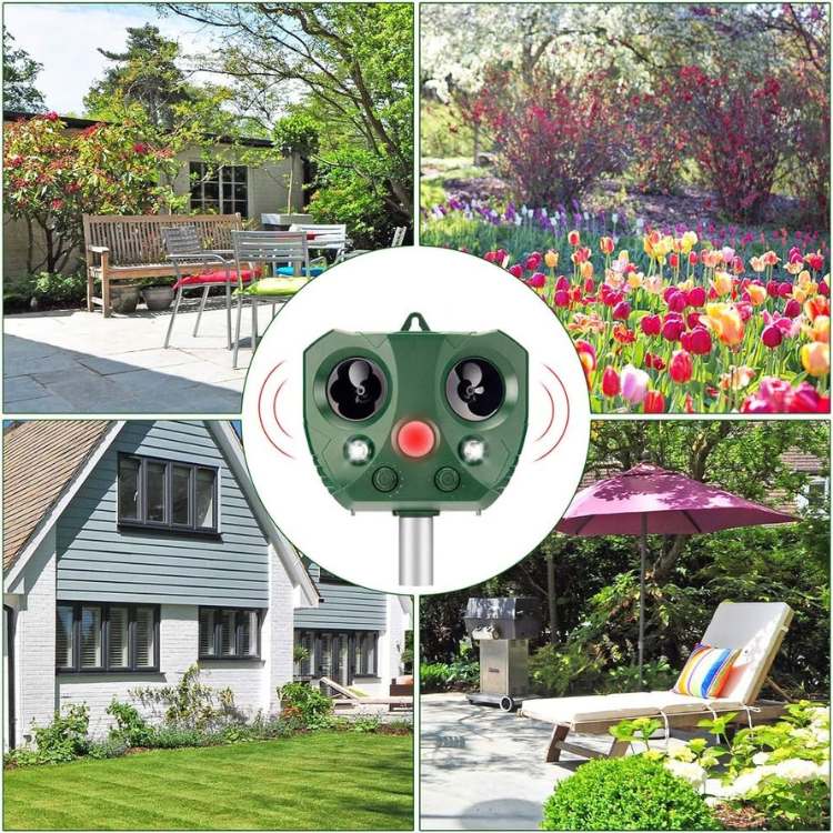 Répulsif ultrasonique solaire pour oiseaux et nuisibles | Répulsif de jardin étanche avec détecteur de mouvement