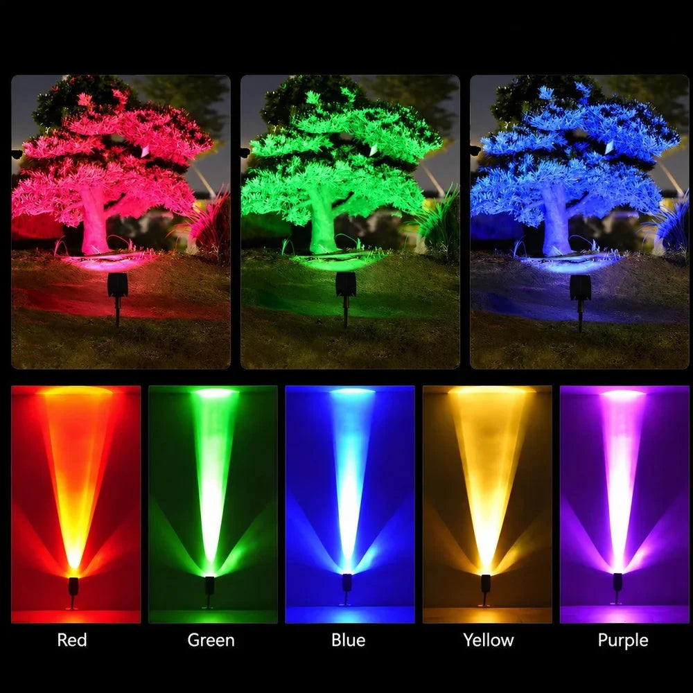 Zonne-energie Tuinspot LED Set met Verstelbare Lens IP65 Waterdicht Buitenverlichting voor Tuin Gazon Terras | Sansoti