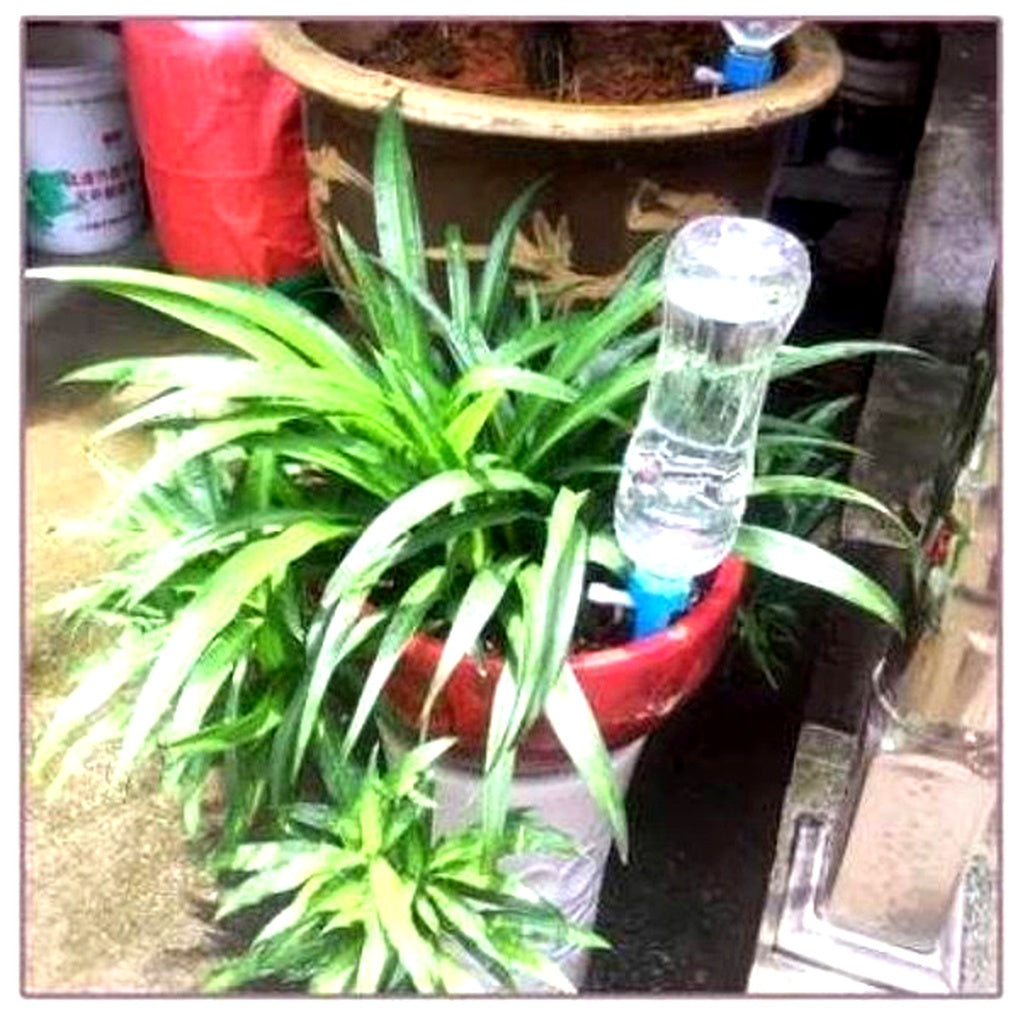 Zelfdrenker Set 12 Stuks Verstelbaar Automatisch Watergeefsysteem Plantenwaterpunten Driptuit Tuin Balkon | Sansoti